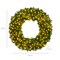 Best Choice Products Artificial Pre-Lit Fir Christmas Wreath Decoration w/ LED Lights